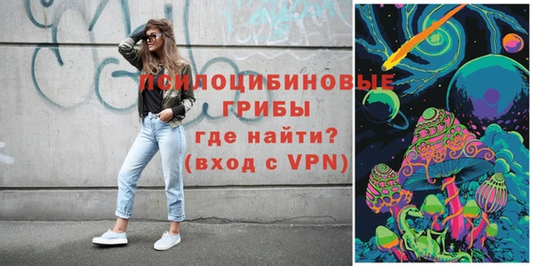 шишки Чегем