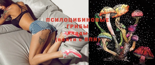 spice Пересвет