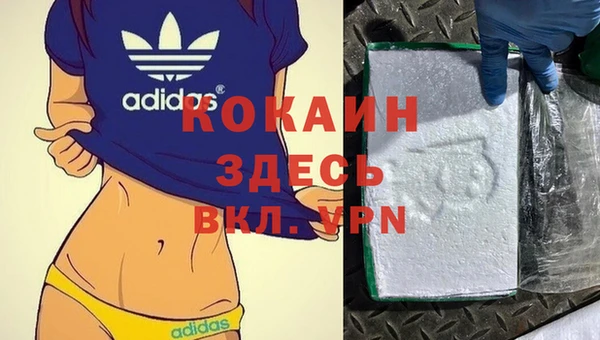 spice Пересвет