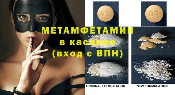 шишки Чегем