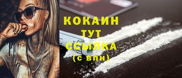 spice Пересвет