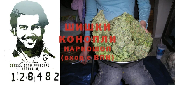 шишки Чегем