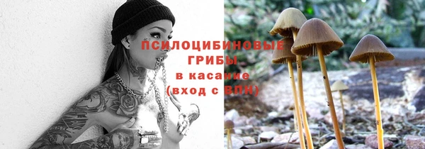 spice Пересвет
