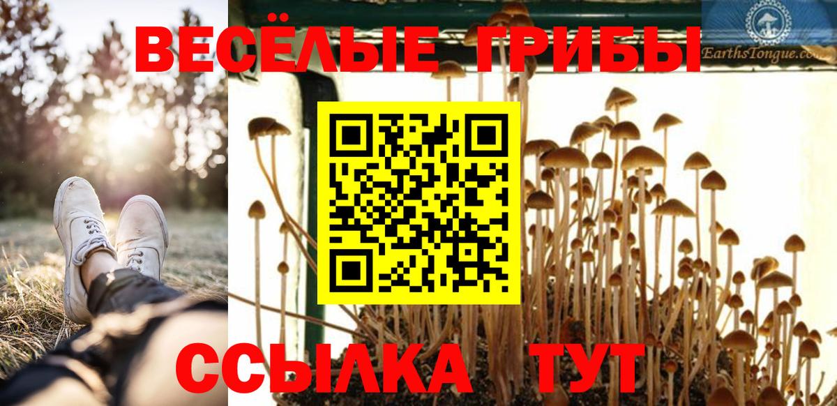 Псилоцибиновые грибы MAGIC MUSHROOMS  Волоколамск 