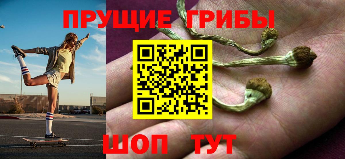 Галлюциногенные грибы мицелий Волоколамск