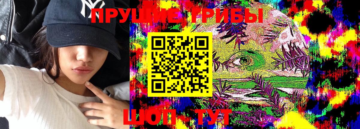 Псилоцибиновые грибы MAGIC MUSHROOMS  Вход с VPN  Волоколамск 