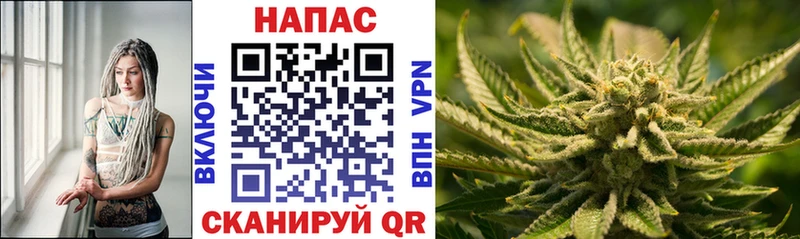 Бошки марихуана Amnesia Волоколамск