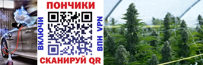 Канабис OG Kush  Волоколамск 